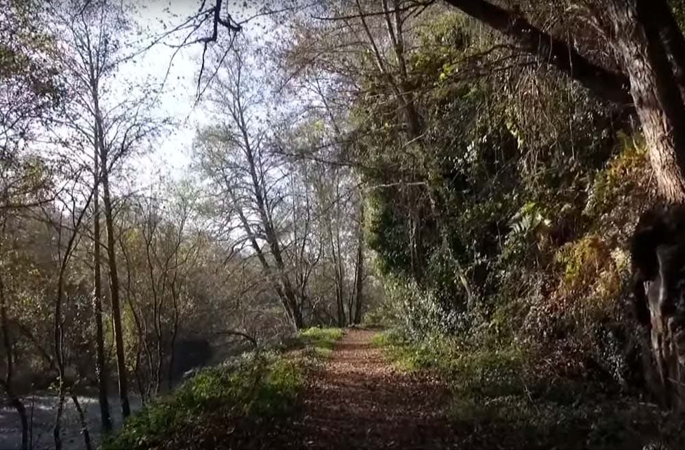 Pasear por el Río Sil en Ponferrada