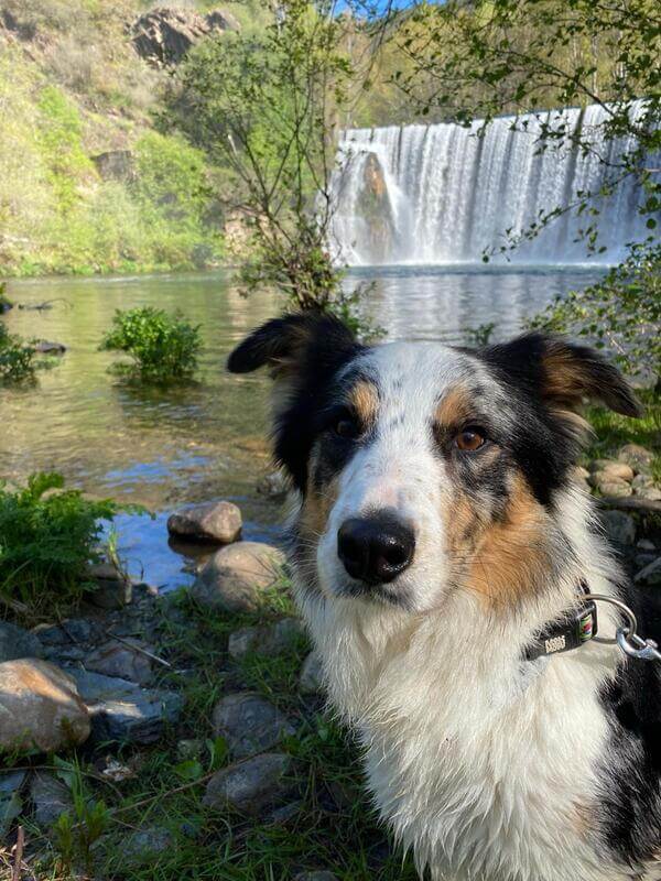 Ruta del salto del Pelgo con perro