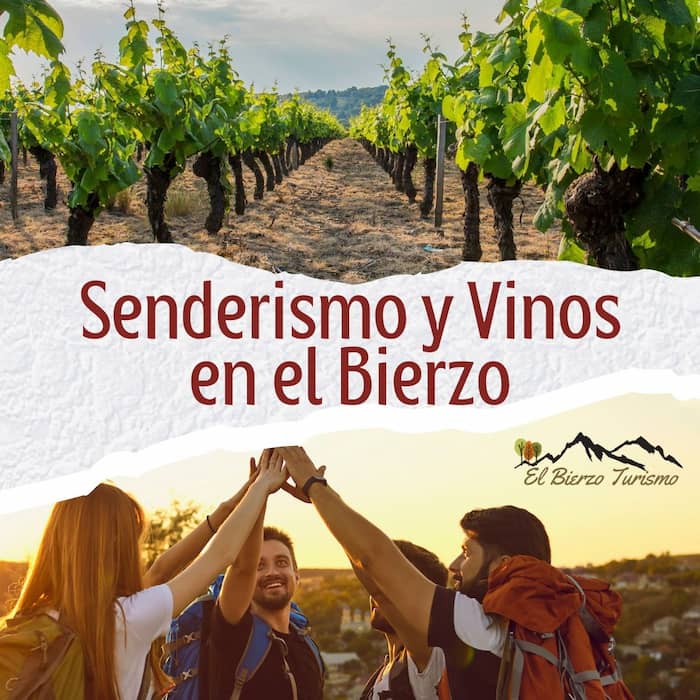 Senderismo-y-vinos-en-El-Bierzo