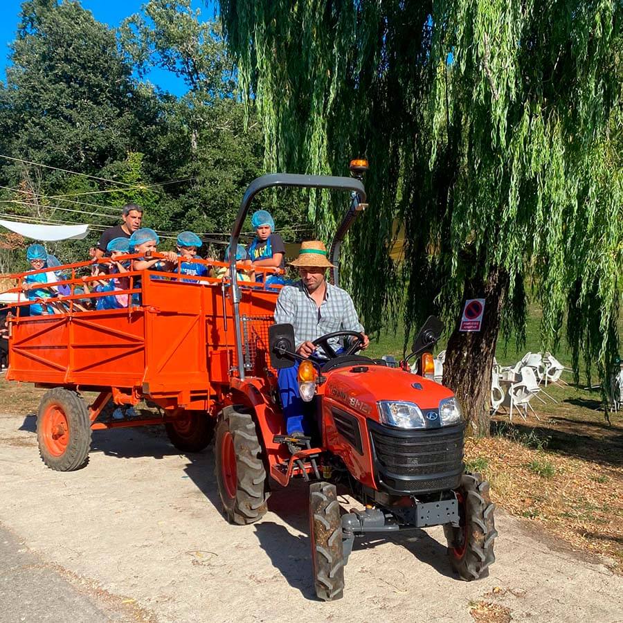 dando de comer a las vacas en agroturismo