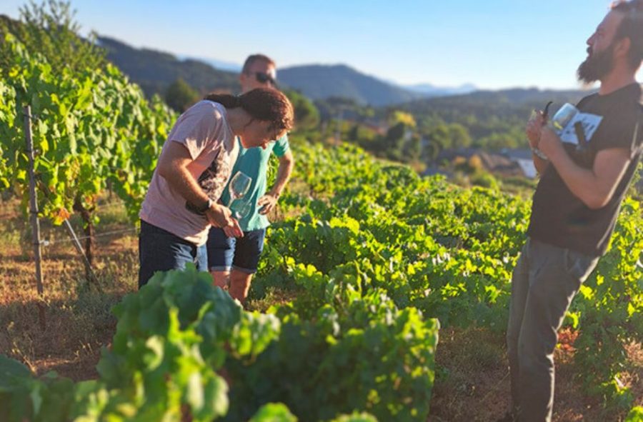 visitar una bodega del Bierzo en Semana Santa