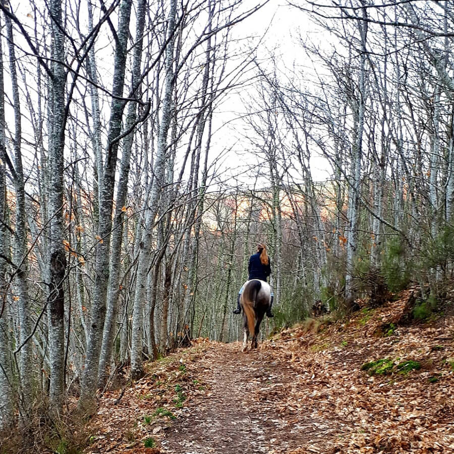 Excursiones a caballo por Las Médulas