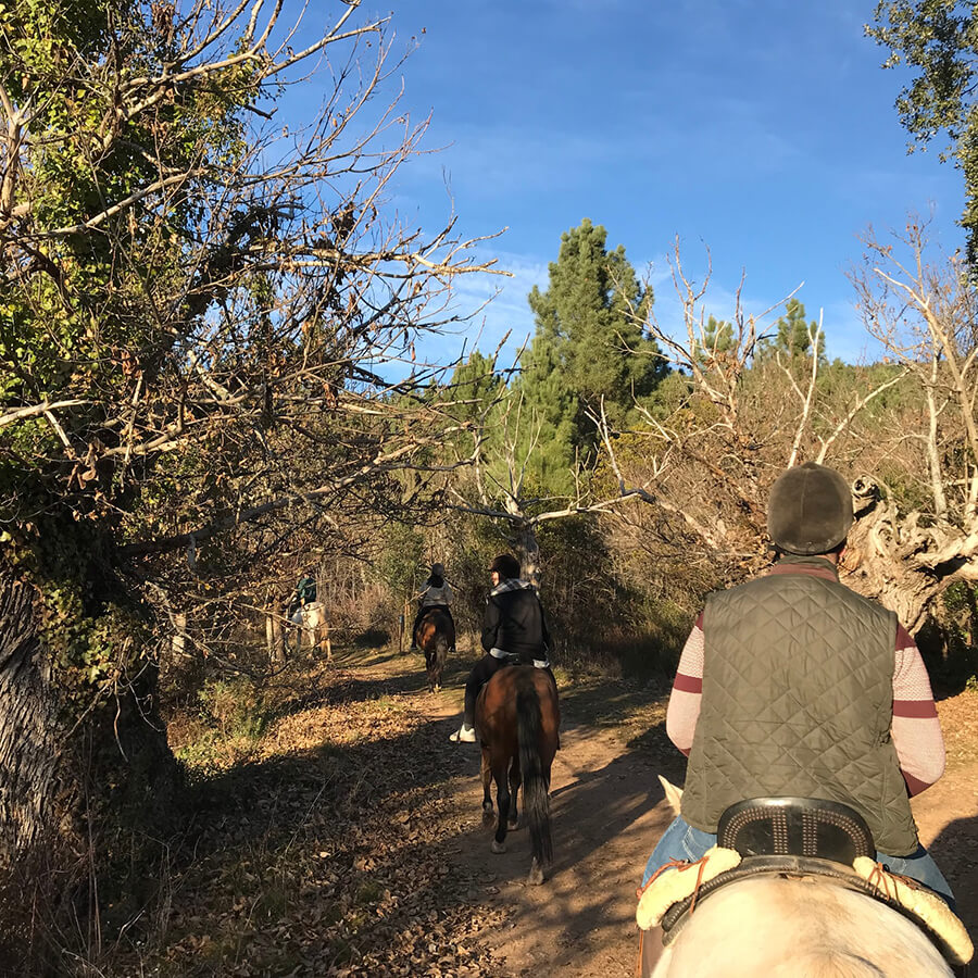 castaños en los paseos a caballo en El Bierzo