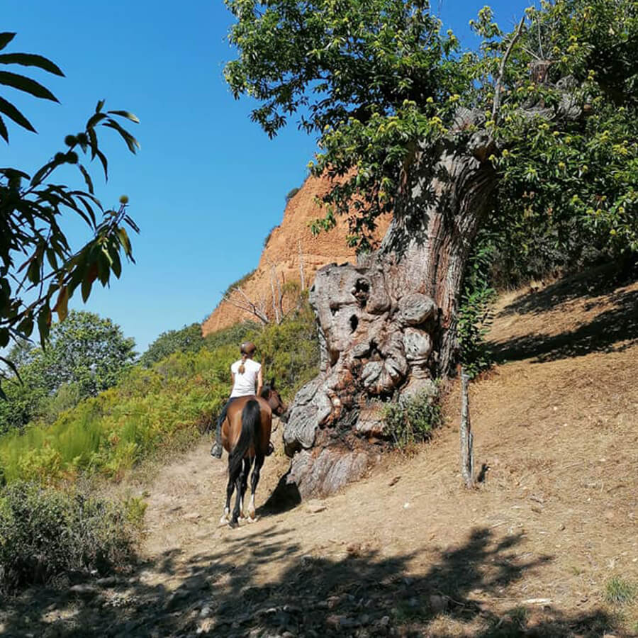 paseos a caballo por Las Médulas