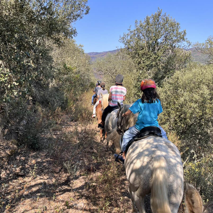 rutas a caballo Bierzo