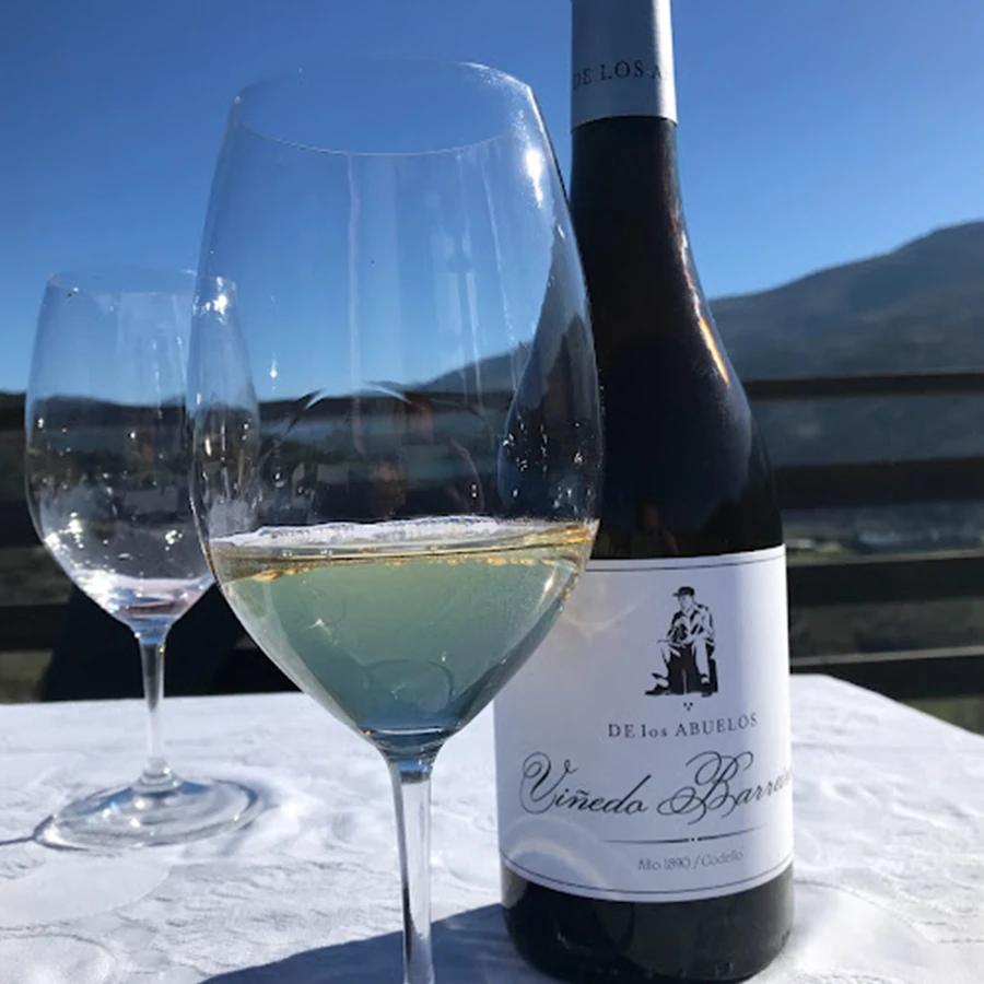 cata de vino pago de los abuelos