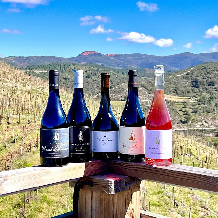 cata de vinos y ruta a caballo