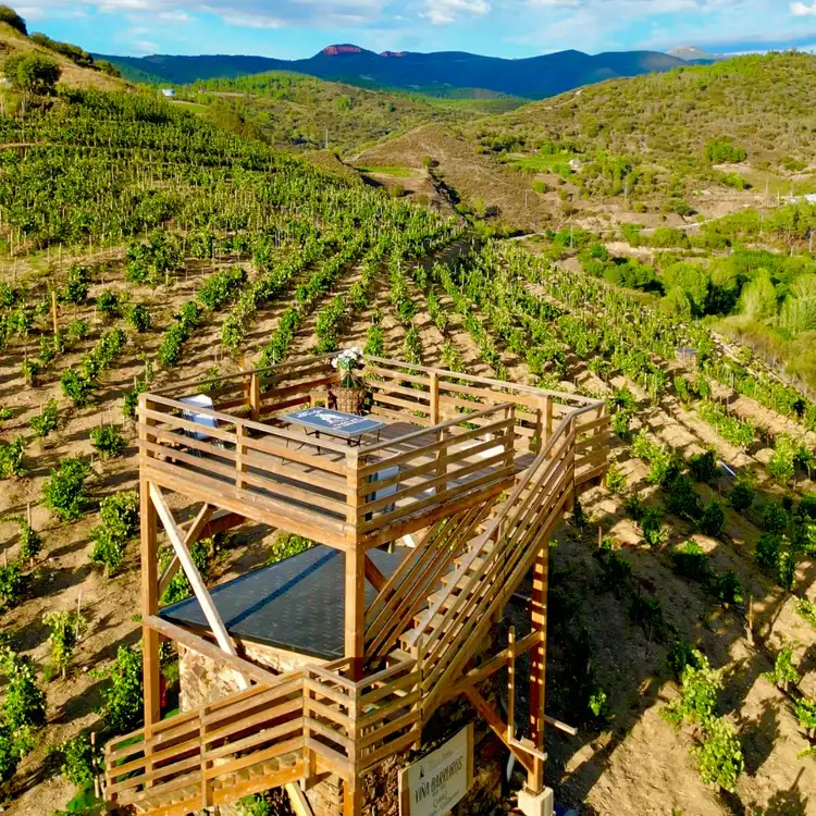rutas a caballo y cata de vinos