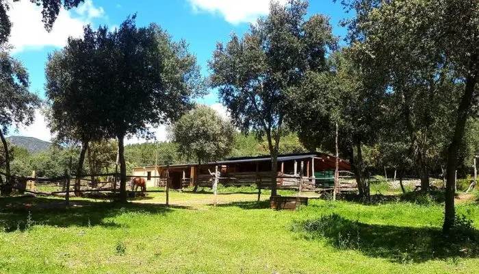 Rancho Caballos Bierzo