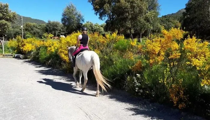 fin de semana a caballo