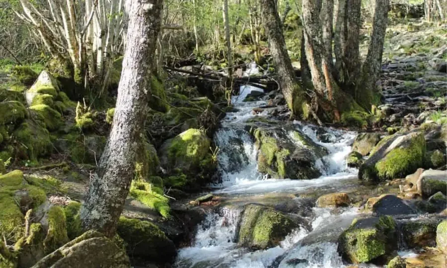 Arroyo del Silencio en la ruta de la Cueva de San Genadio