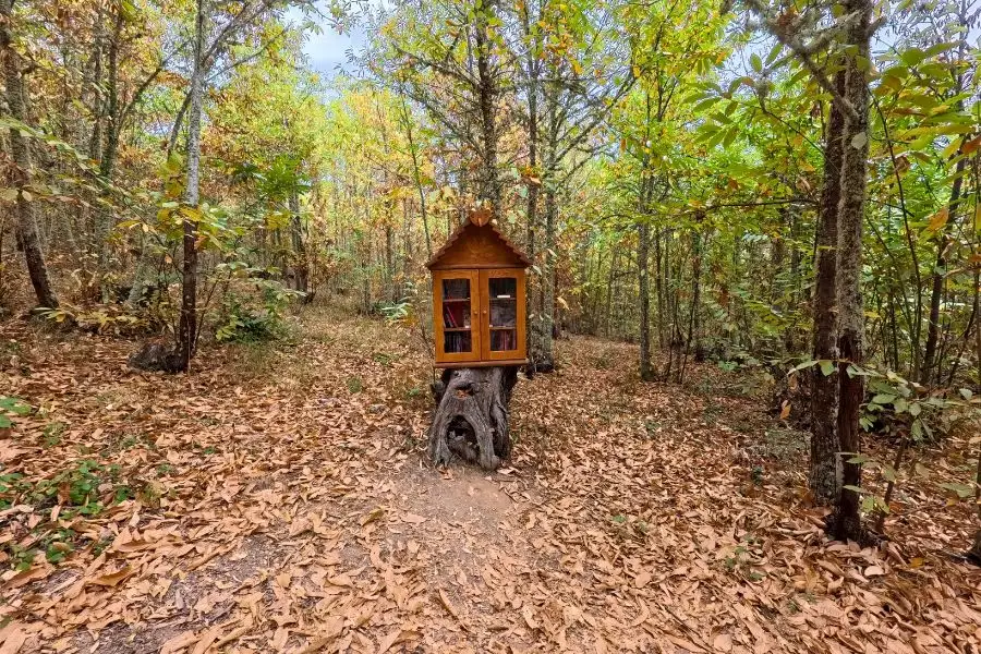 Bibliotela natural en el Soto de Villar de los Barrios