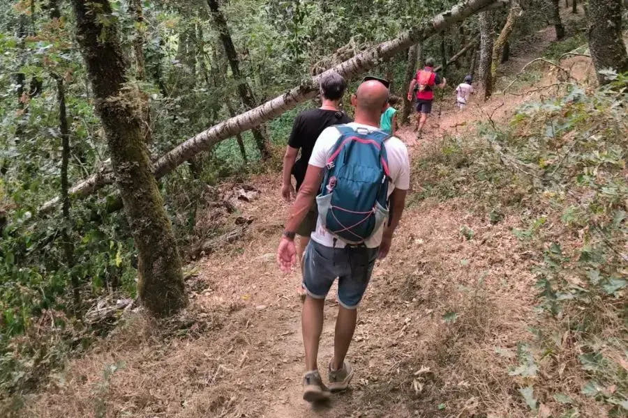 caminando hacia la mina vallelongo