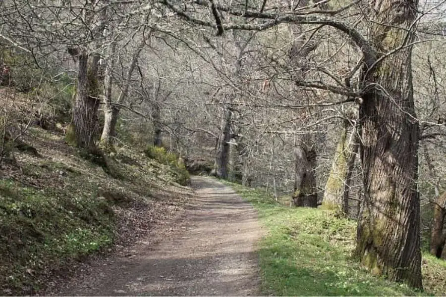 camino al indicación al Columpio de Valdecarrizo