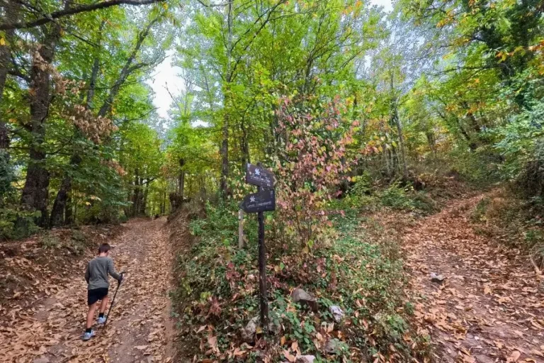 caminos del soto de Villar de los Barrios