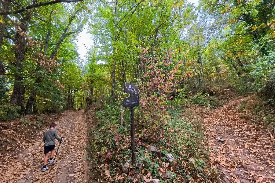 caminos del soto de Villar de los Barrios