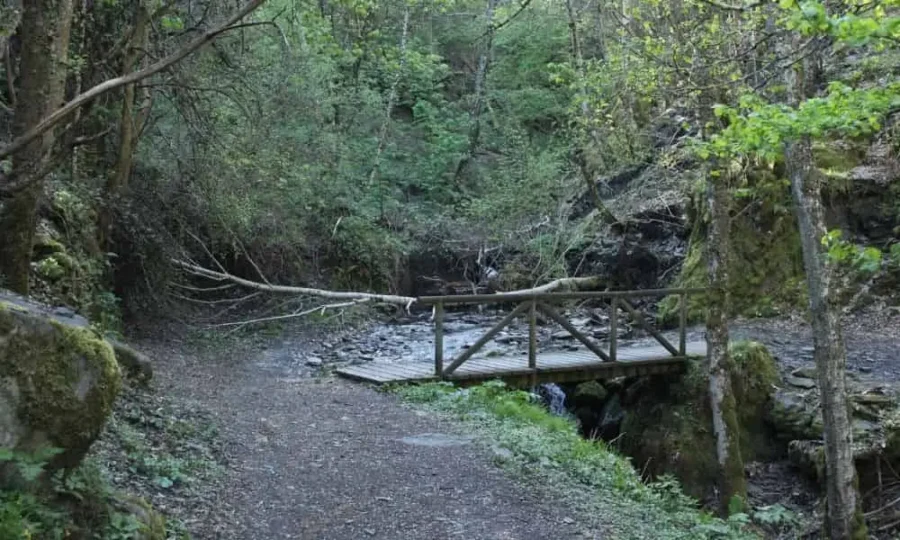 el Arroyo de Peñalba de Santiago