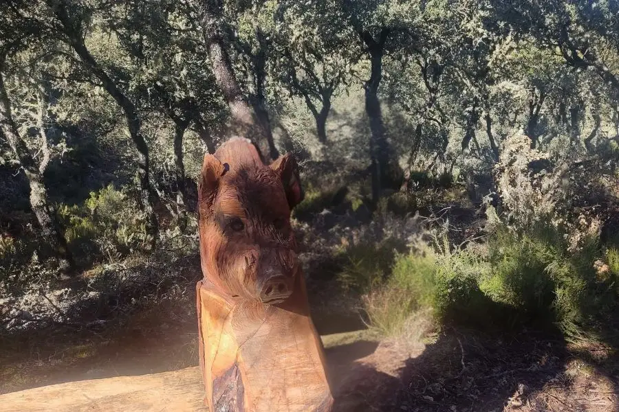 escultura de jabalí en la senda mágica el fontanal
