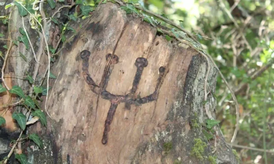 ruta de la arbol en la senda del mouro