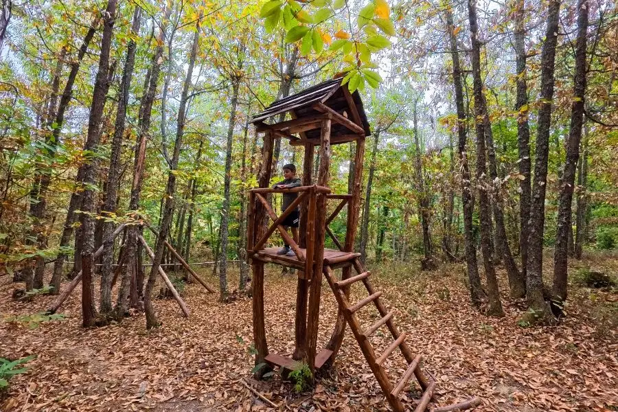 torre de madera en el soto de villar de los Barrios