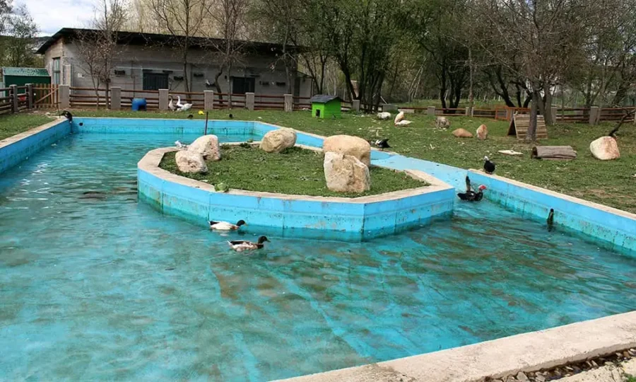 zona de aves finca fiyuelo
