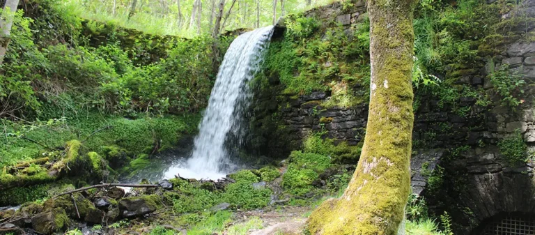 Qué ver en El Bierzo en una escapada de dos días: naturaleza, historia y gastronomía sin prisas